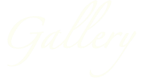  Gallery
